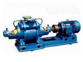 SZ系列水環真空泵